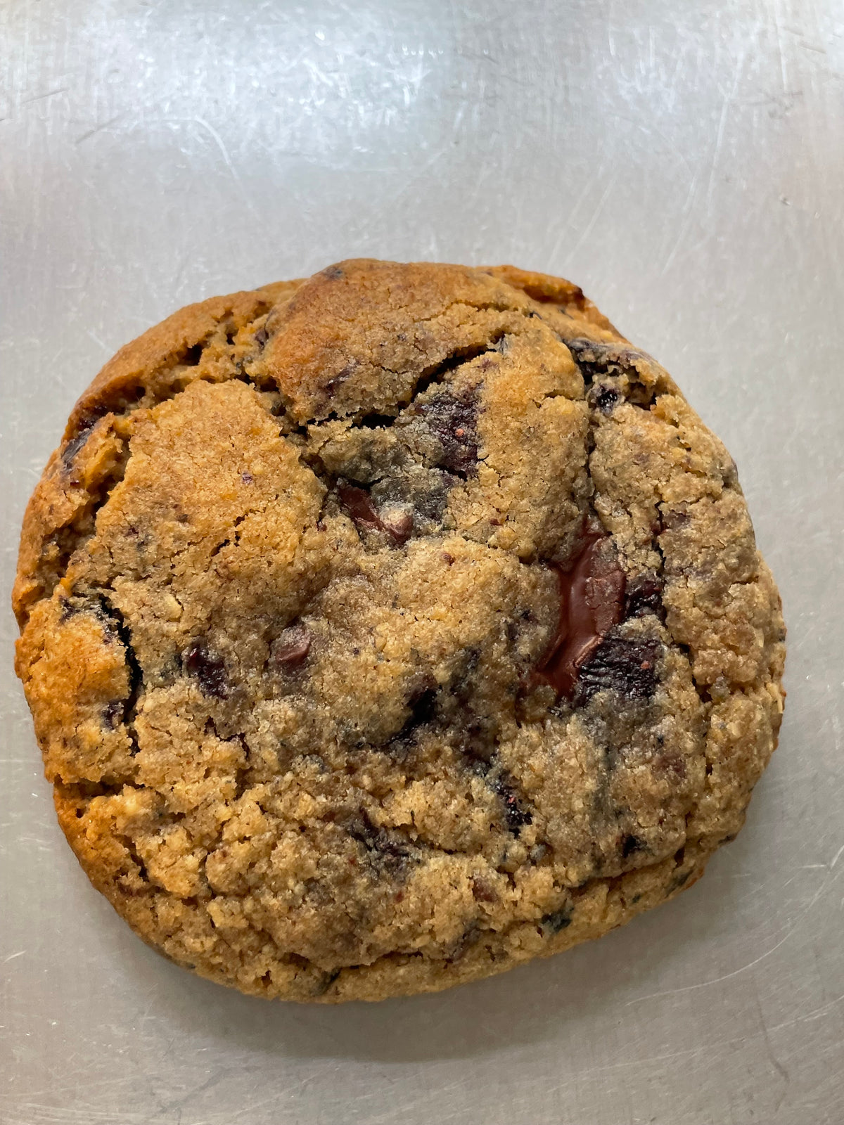 Buckwheat Dark Chocolate Chip & Blueberry