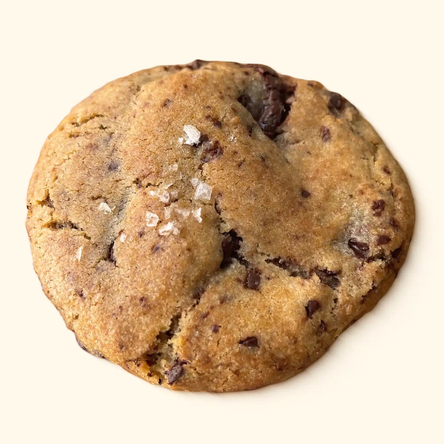 Dark Chocolate Chip & Sea Salt Variant